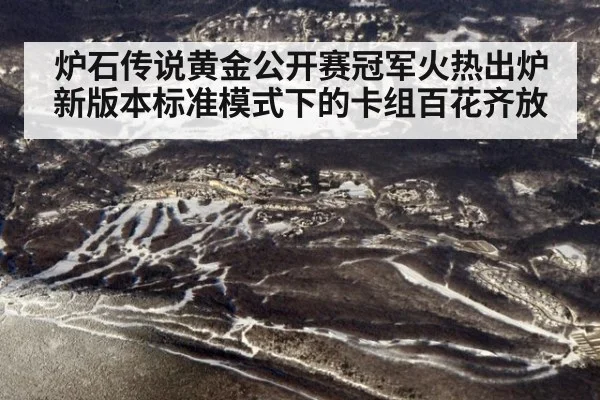 炉石传说黄金公开赛冠军火热出炉 新版本标准模式下的卡组百花齐放