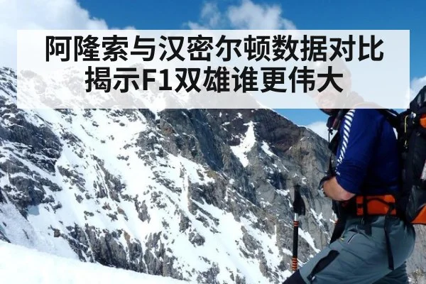阿隆索与汉密尔顿数据对比揭示F1双雄谁更伟大
